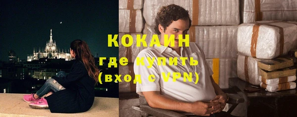 стафф Вязьма