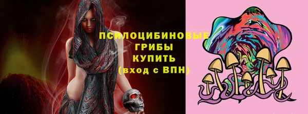 стафф Вязьма
