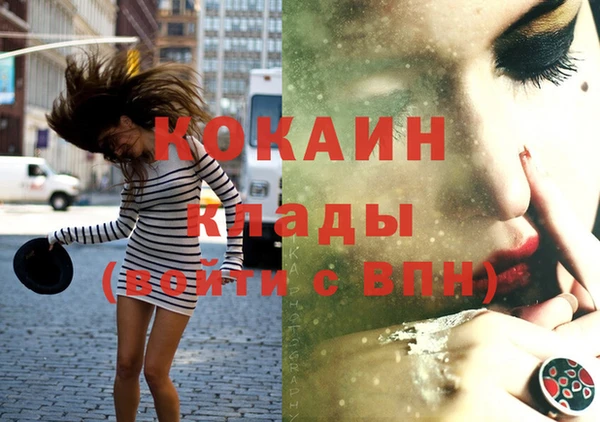 стафф Вязьма