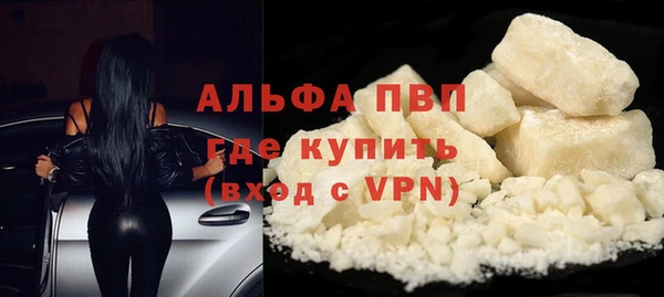 стафф Вязьма