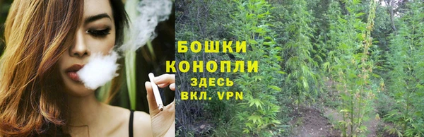 apvp Вязники