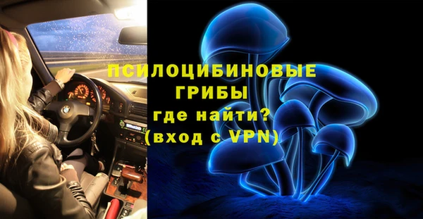 мяу мяу мука Вяземский