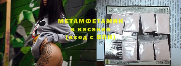 сатива Ростов