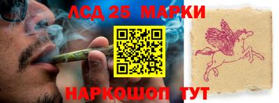 индика Беслан