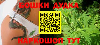 apvp Бийск