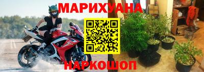 apvp Бийск