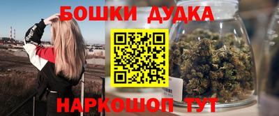 индика Беслан