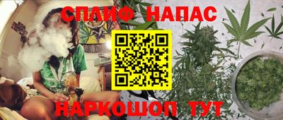 индика Беслан