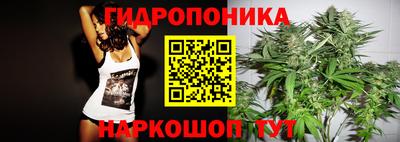 индика Беслан