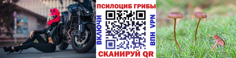 Галлюциногенные грибы мухоморы  Гулькевичи 