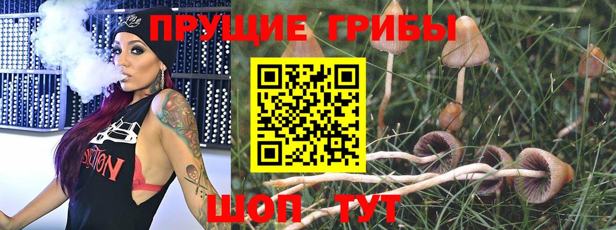 даркнет сайт  Галлюциногенные грибы GOLDEN TEACHER  Псилоцибиновые грибы MAGIC MUSHROOMS  Вход с VPN  Гулькевичи 