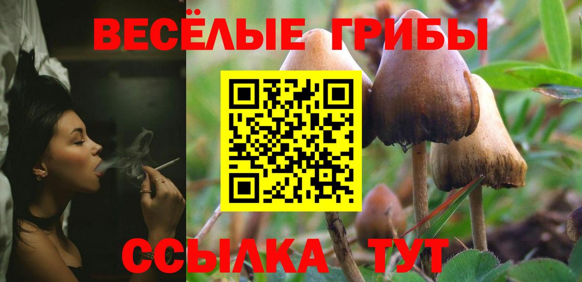 Псилоцибиновые грибы ЛСД  Гулькевичи  Псилоцибиновые грибы Psilocybe 