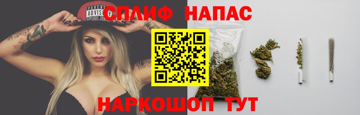 Конопля MAZAR Гулькевичи
